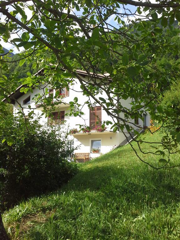 Apartment Zadraga تولمين الغرفة الصورة